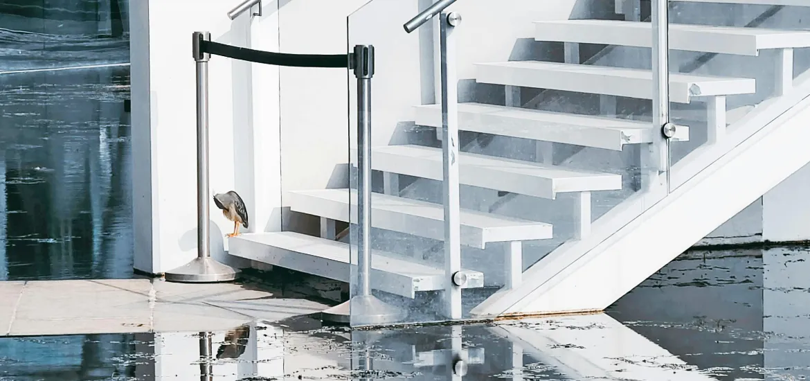 Wasser steht im Eingangsbereich eines Gebäudes, Treppenhaus spiegelt sich im Wasser; Hinweis auf Rückstau/Überflutung, Symbolfoto.